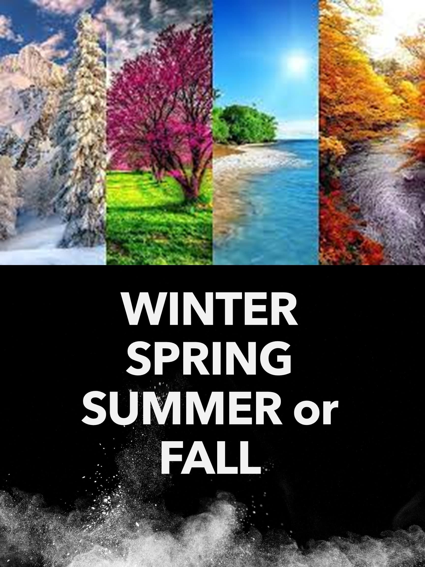 Winter Spring Summer or Fall poster