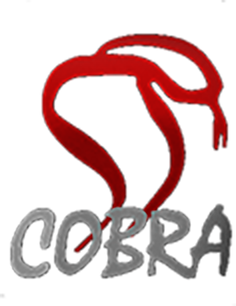 Cobra Film Department