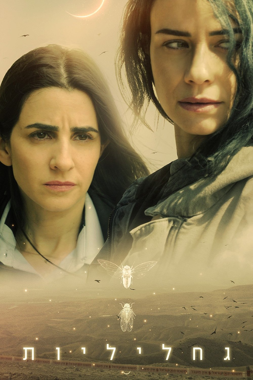Poster de גחליליות