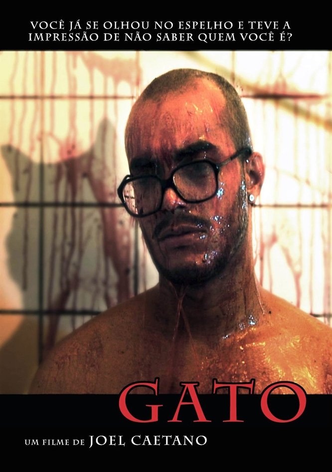 Poster de Gato