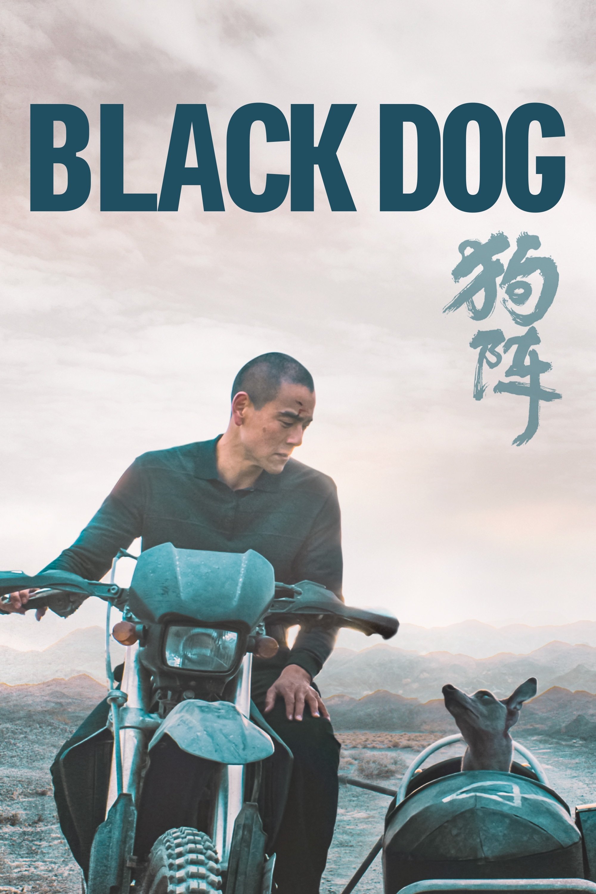 Black Dog
