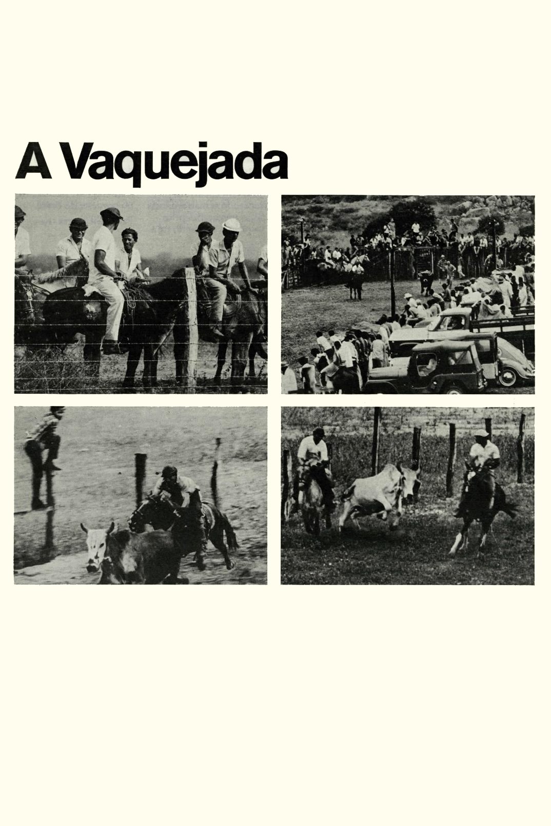 Poster de A Vaquejada