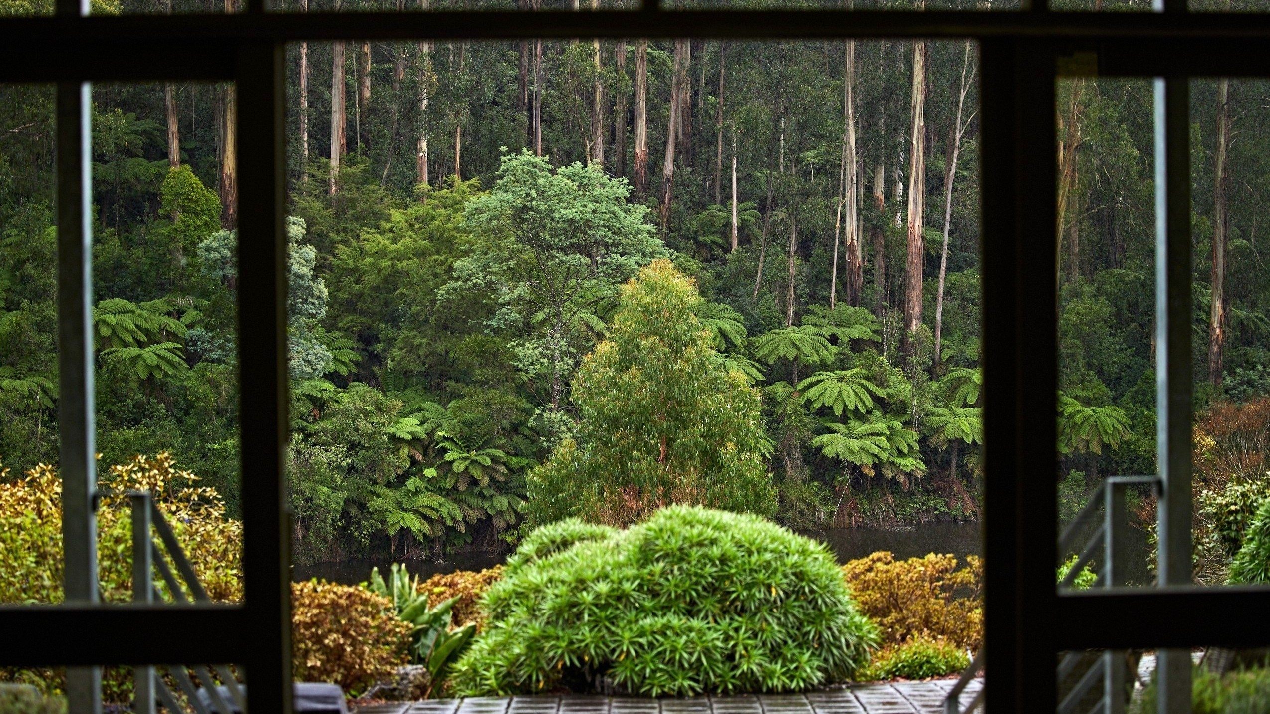 backdrops