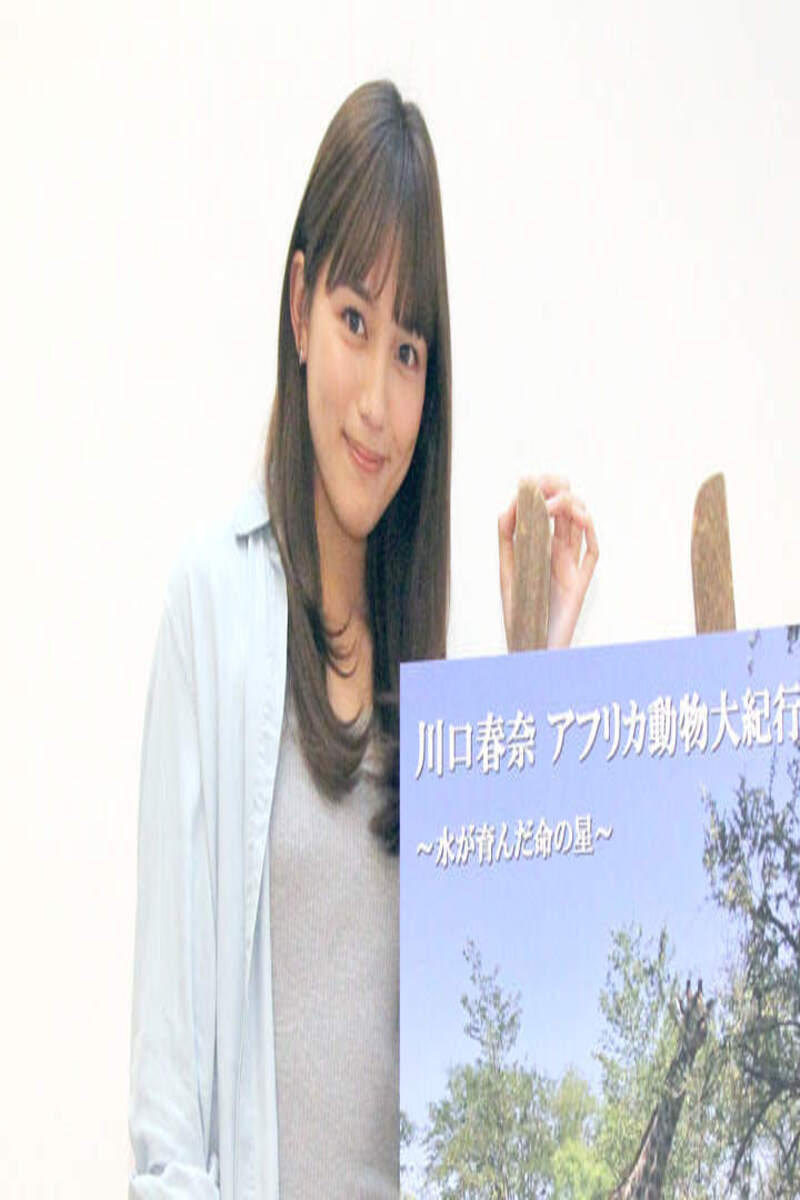 Poster de アフリカ動物大紀行