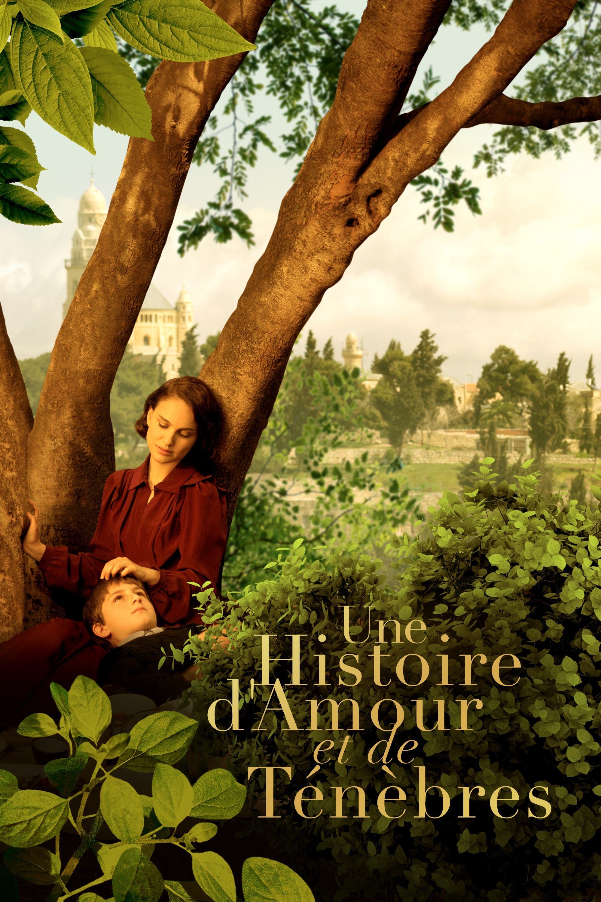 Affiche du film A Tale of Love and Darkness