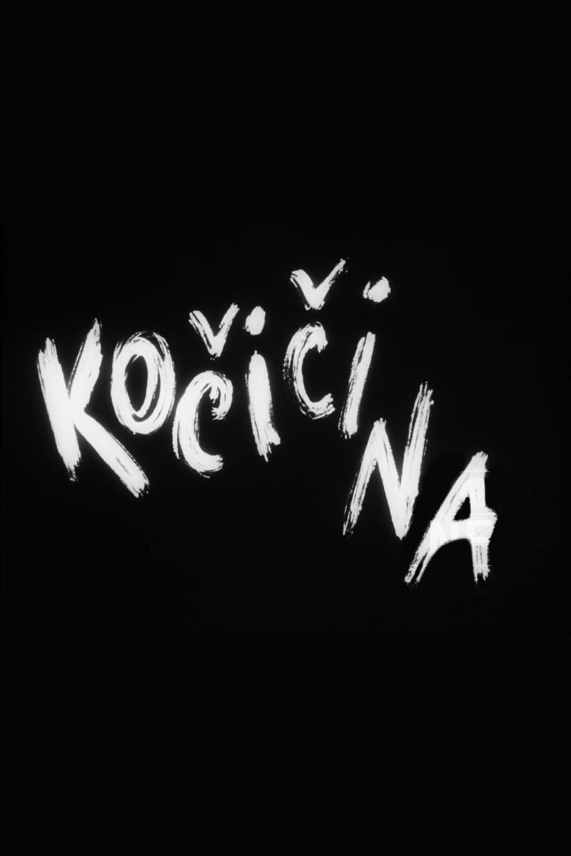 Poster de Kočičina