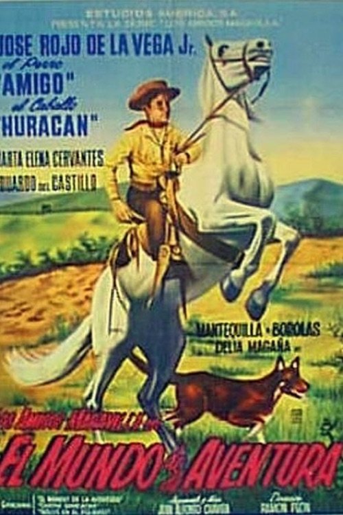 Poster de Los amigos Maravilla en el mundo de la aventura