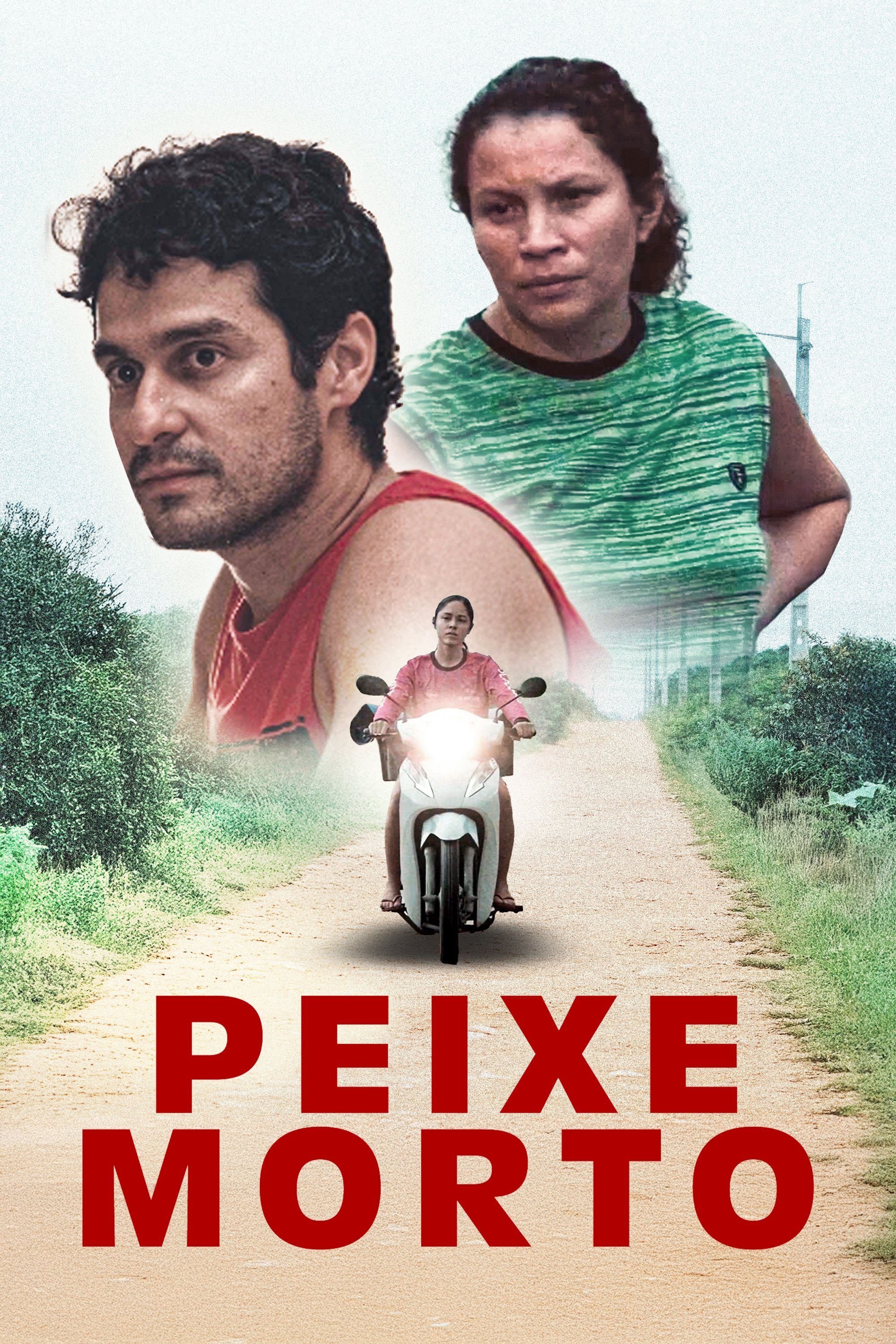 Poster de Peixe Morto
