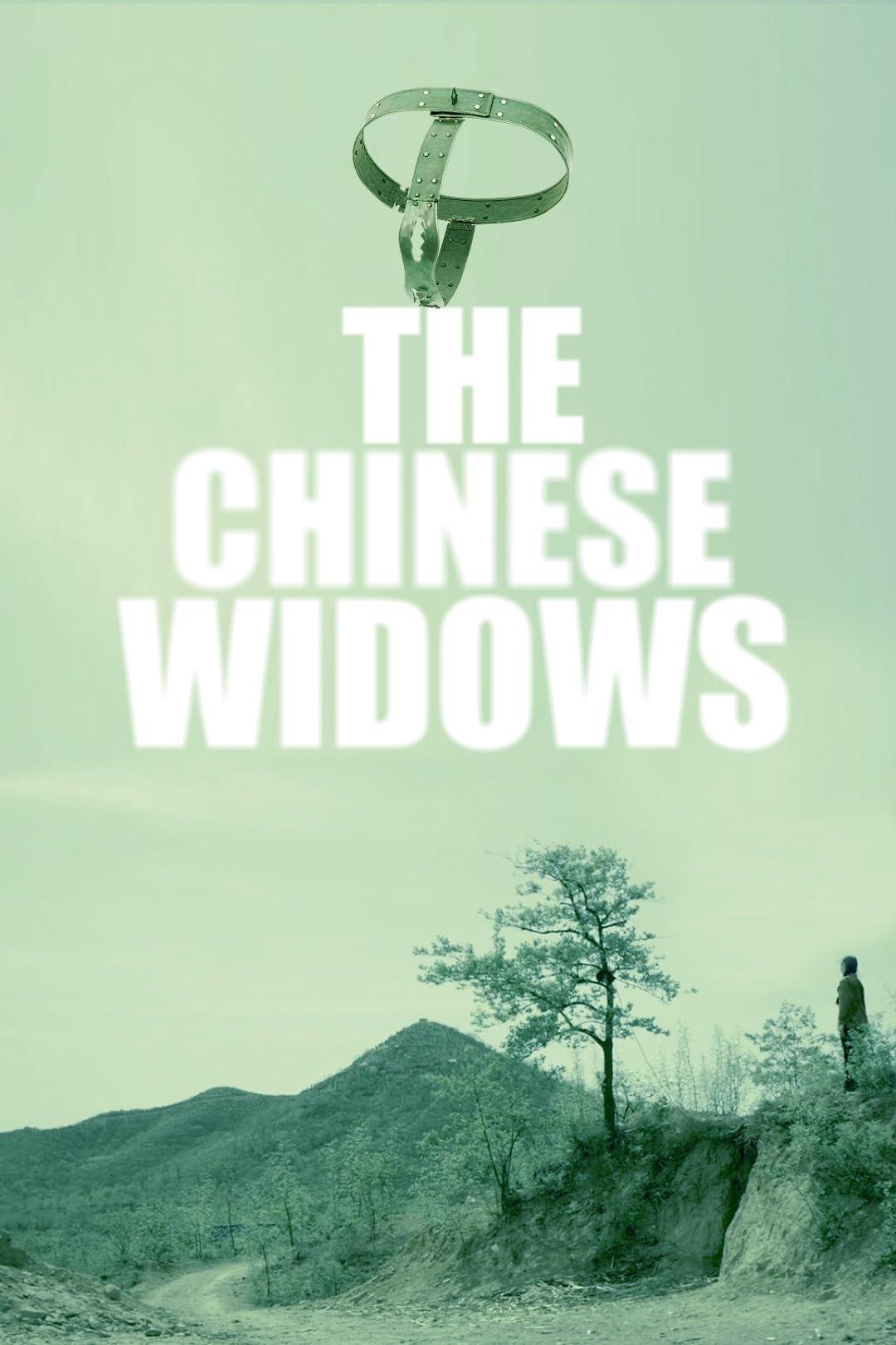 Poster de 中国式寡妇