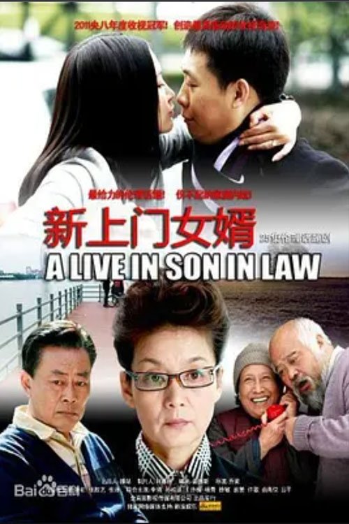 Poster de 新上门女婿