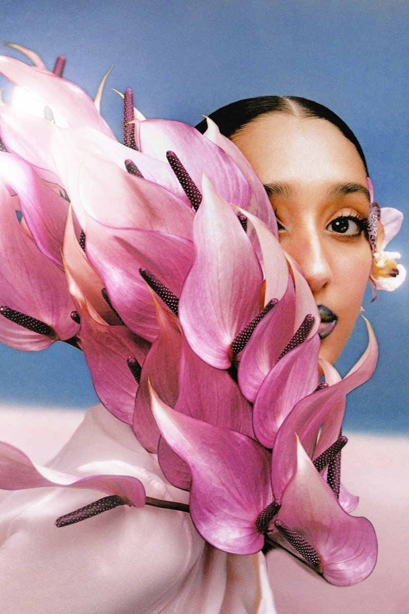 Poster de Where The Butterflies Went