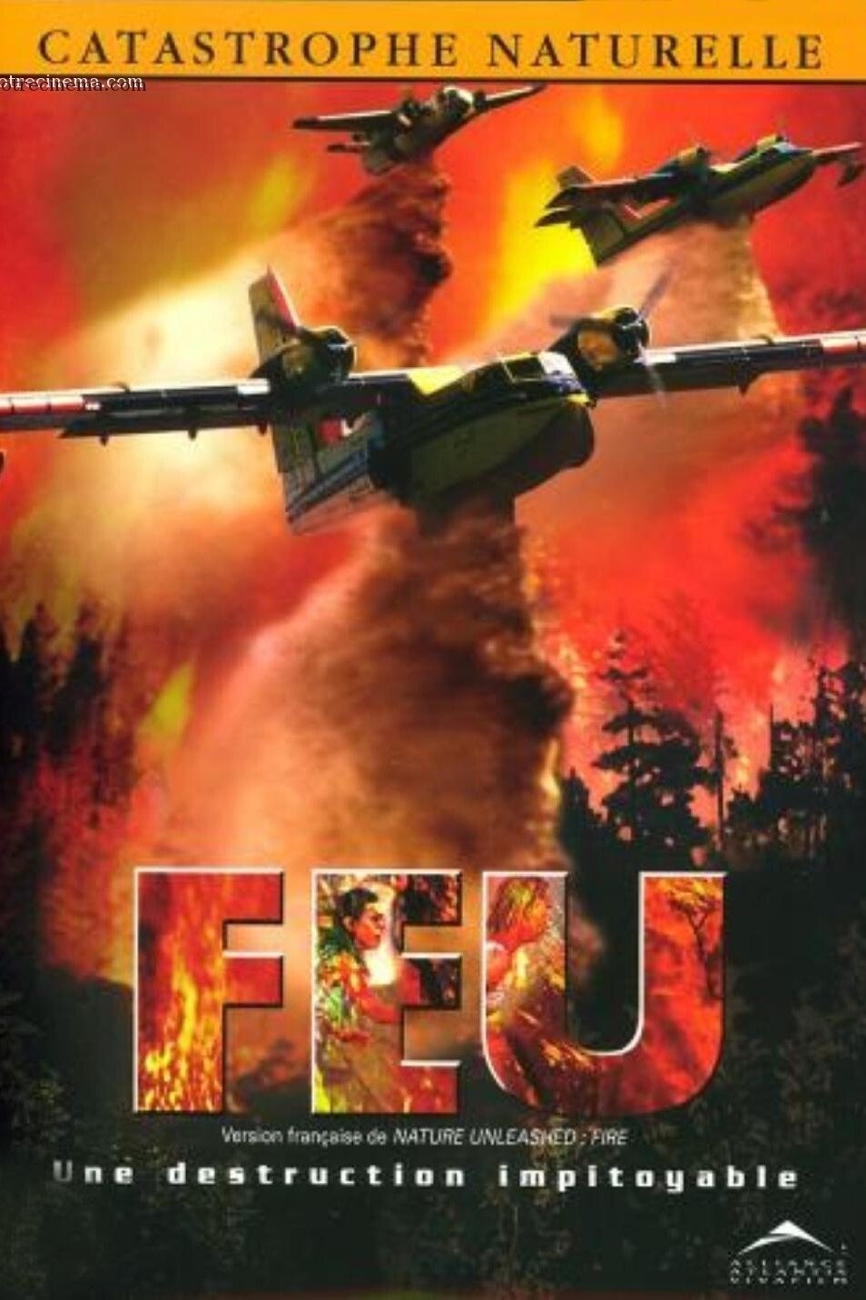 Affiche du film Nature Unleashed: Fire