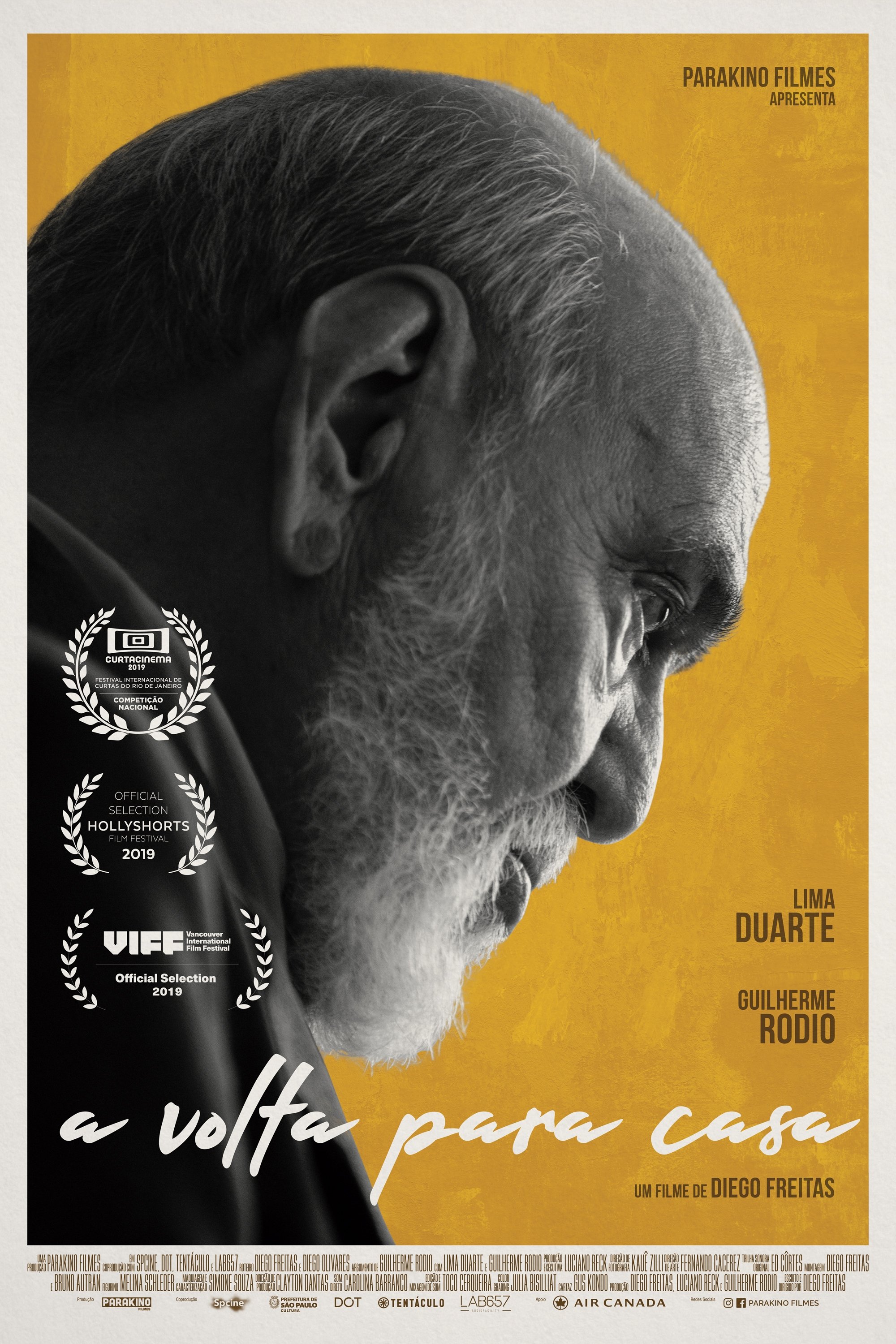Poster de A volta para casa