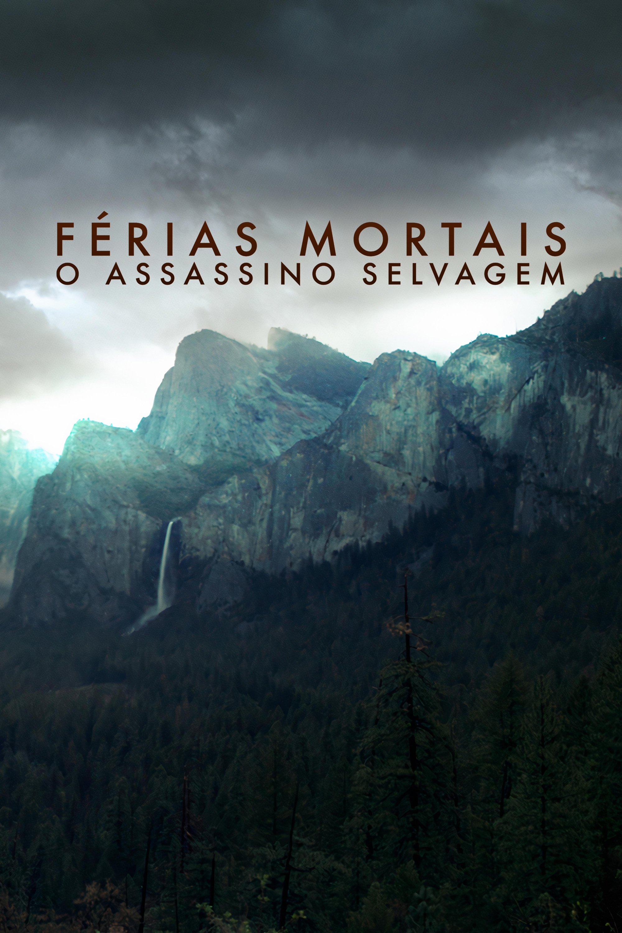 Poster de Assassino em Yosemite