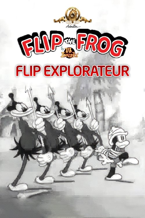 Flip explorateur