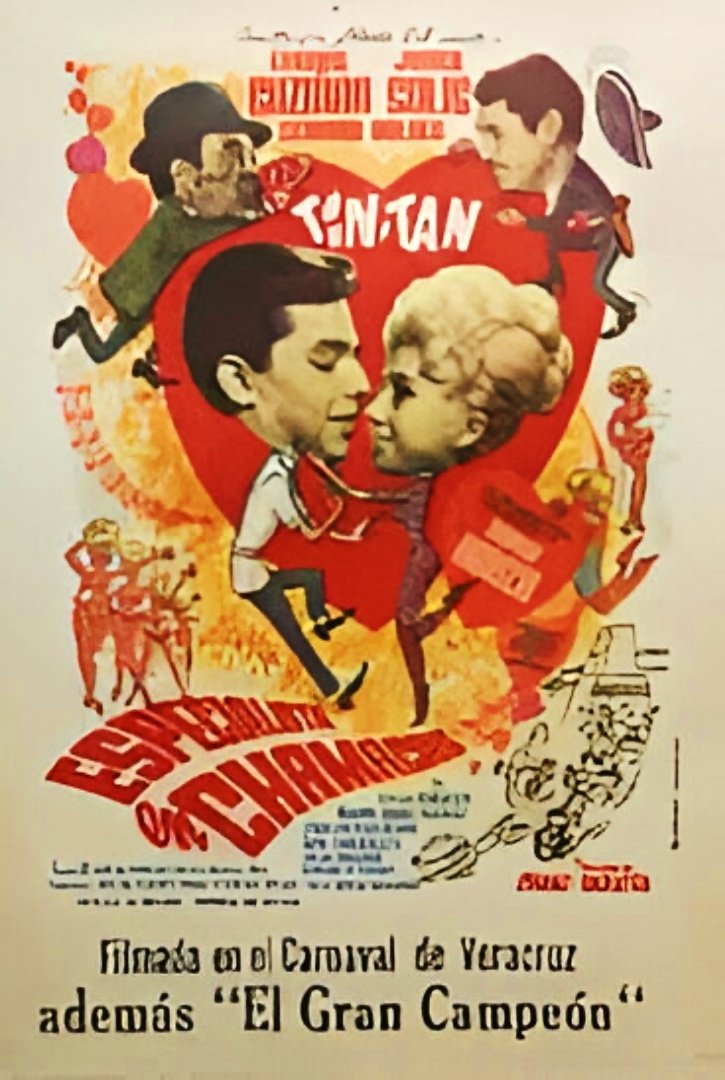 Poster de Especialista en chamacas