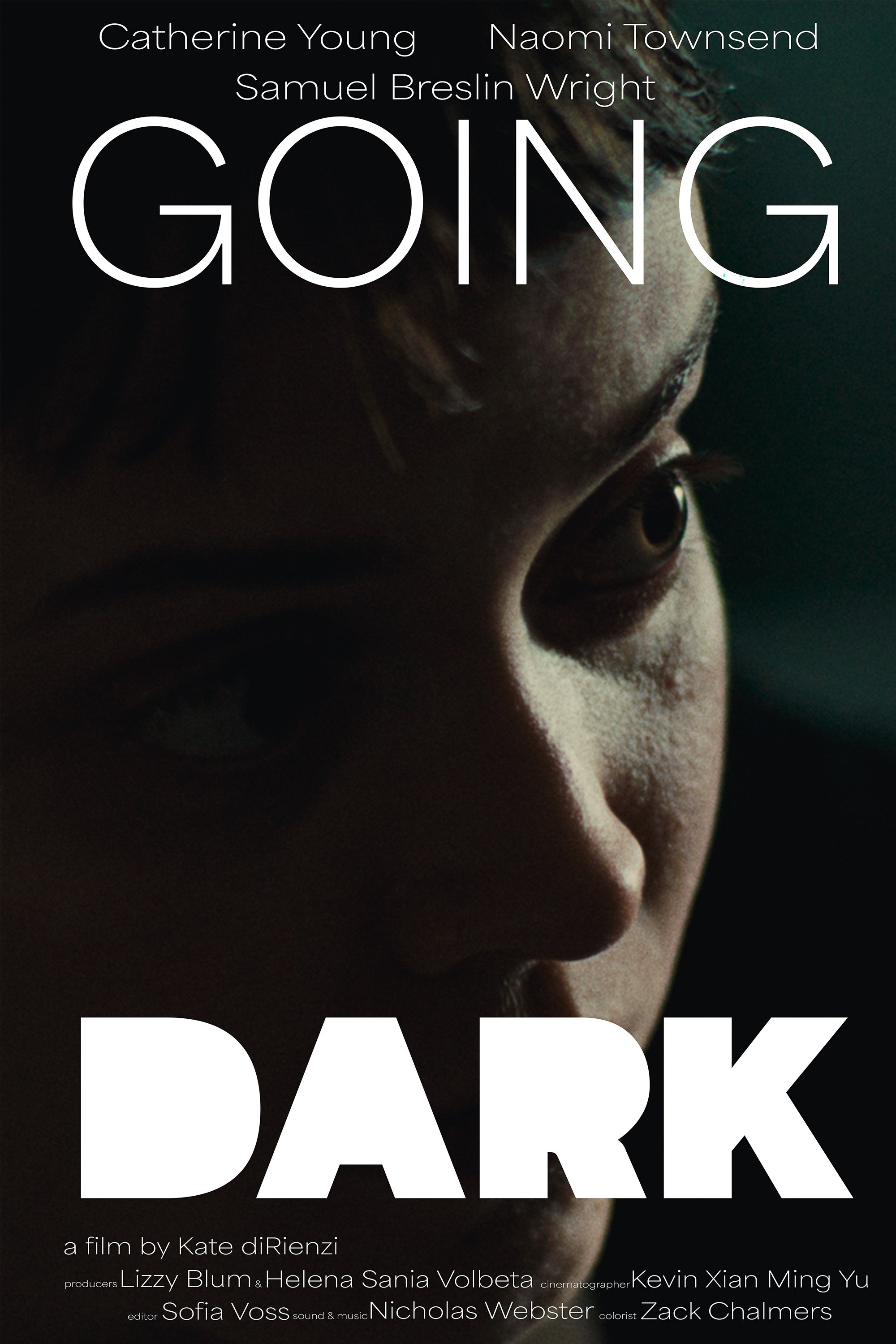 Poster de Going Dark