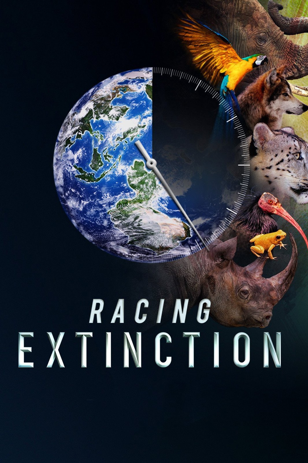 Poster de Corrida Contra a Extinção