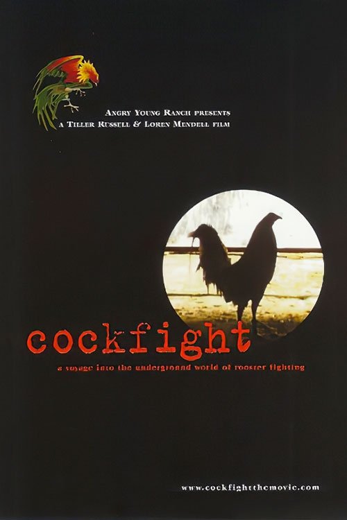 Poster de Cockfight