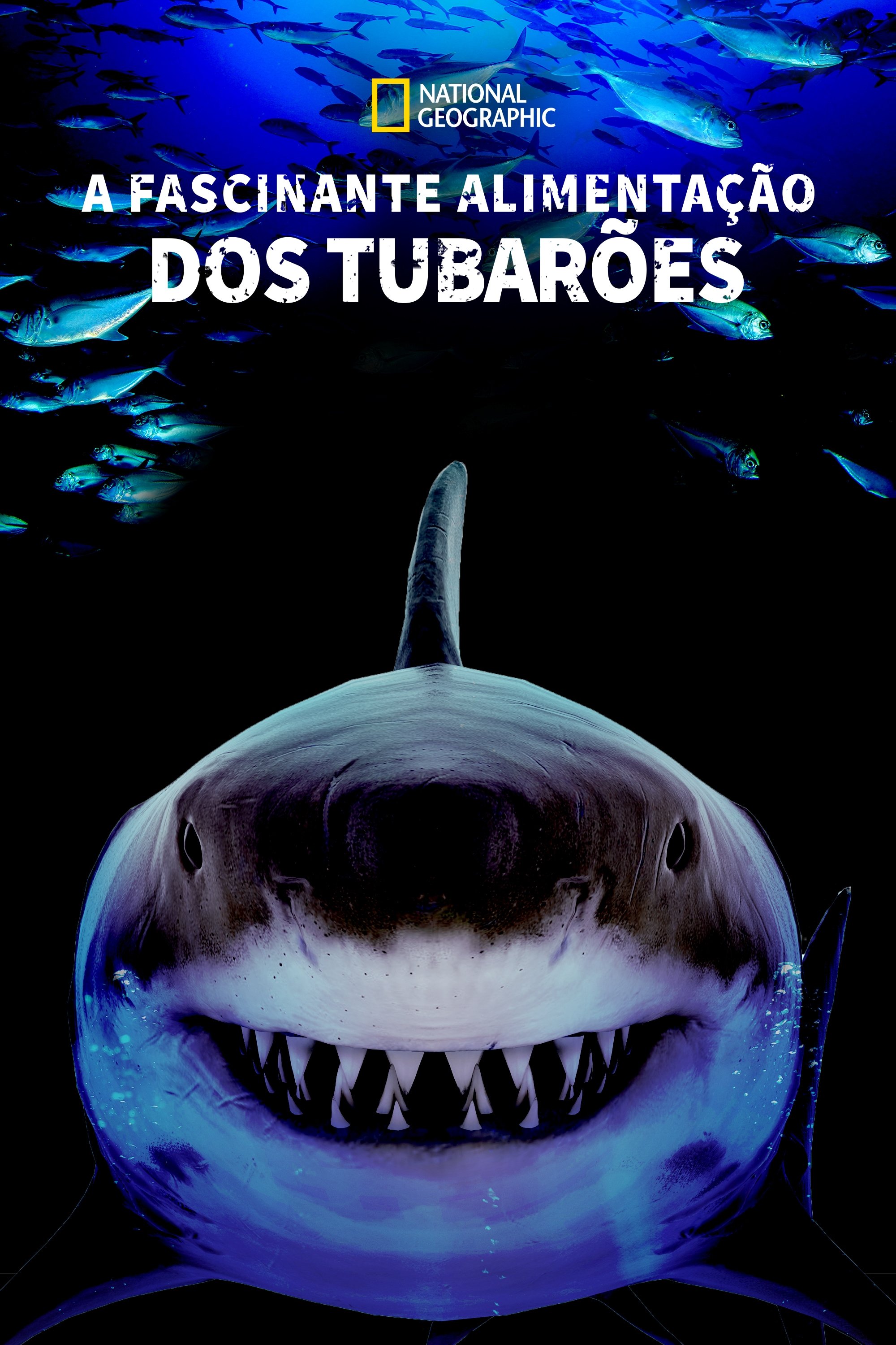 Poster de A Fascinante Alimentação dos Tubarões