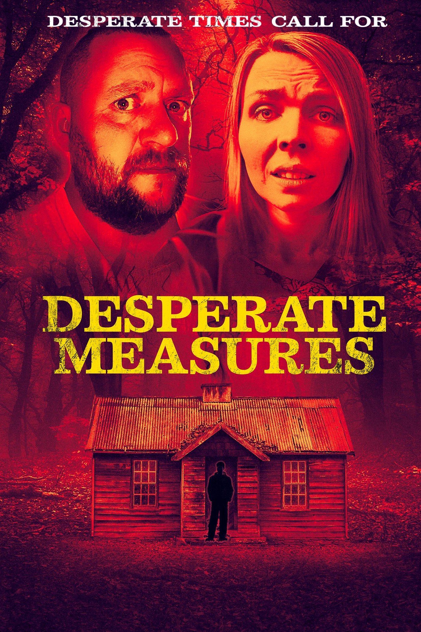 Poster de Desperate Measures