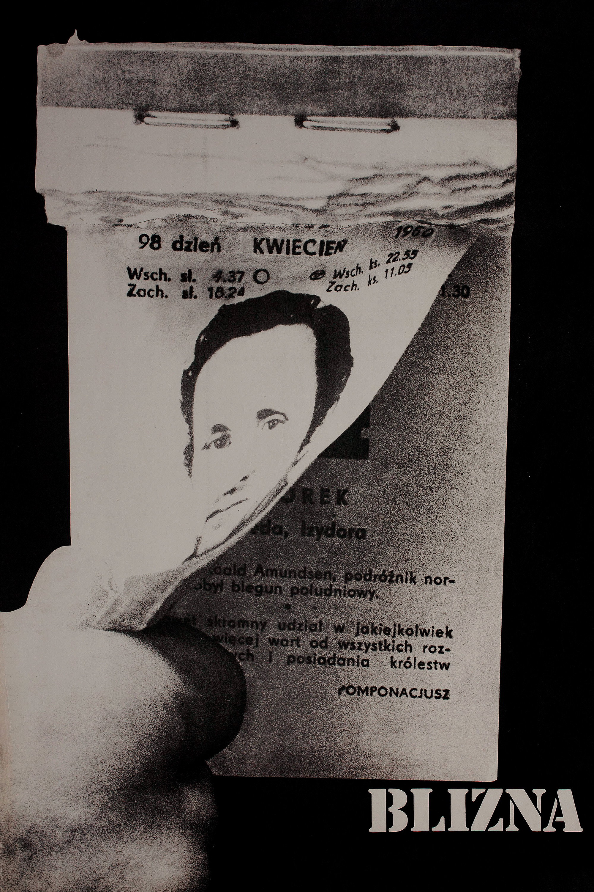 Poster de A Cicatriz