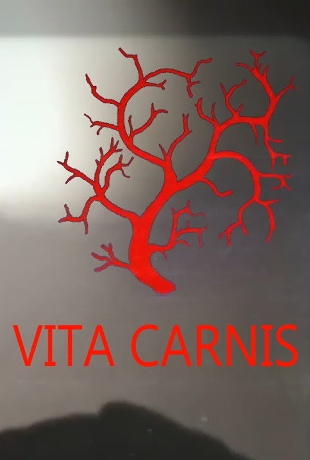 Poster de Vita Carnis