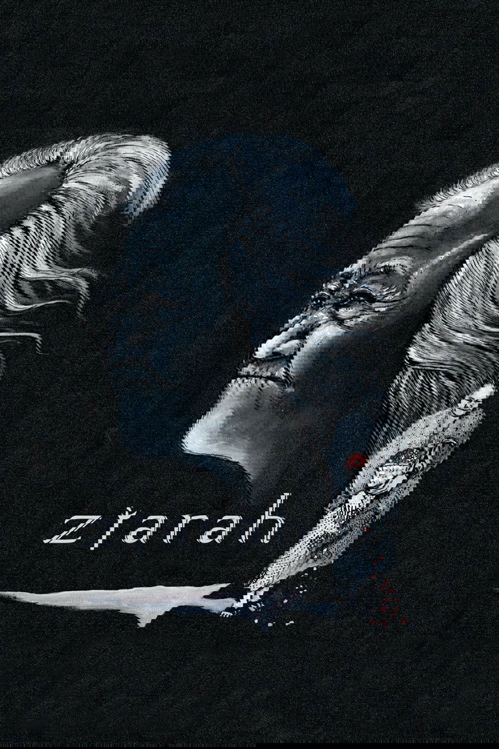 Poster de Ziarah