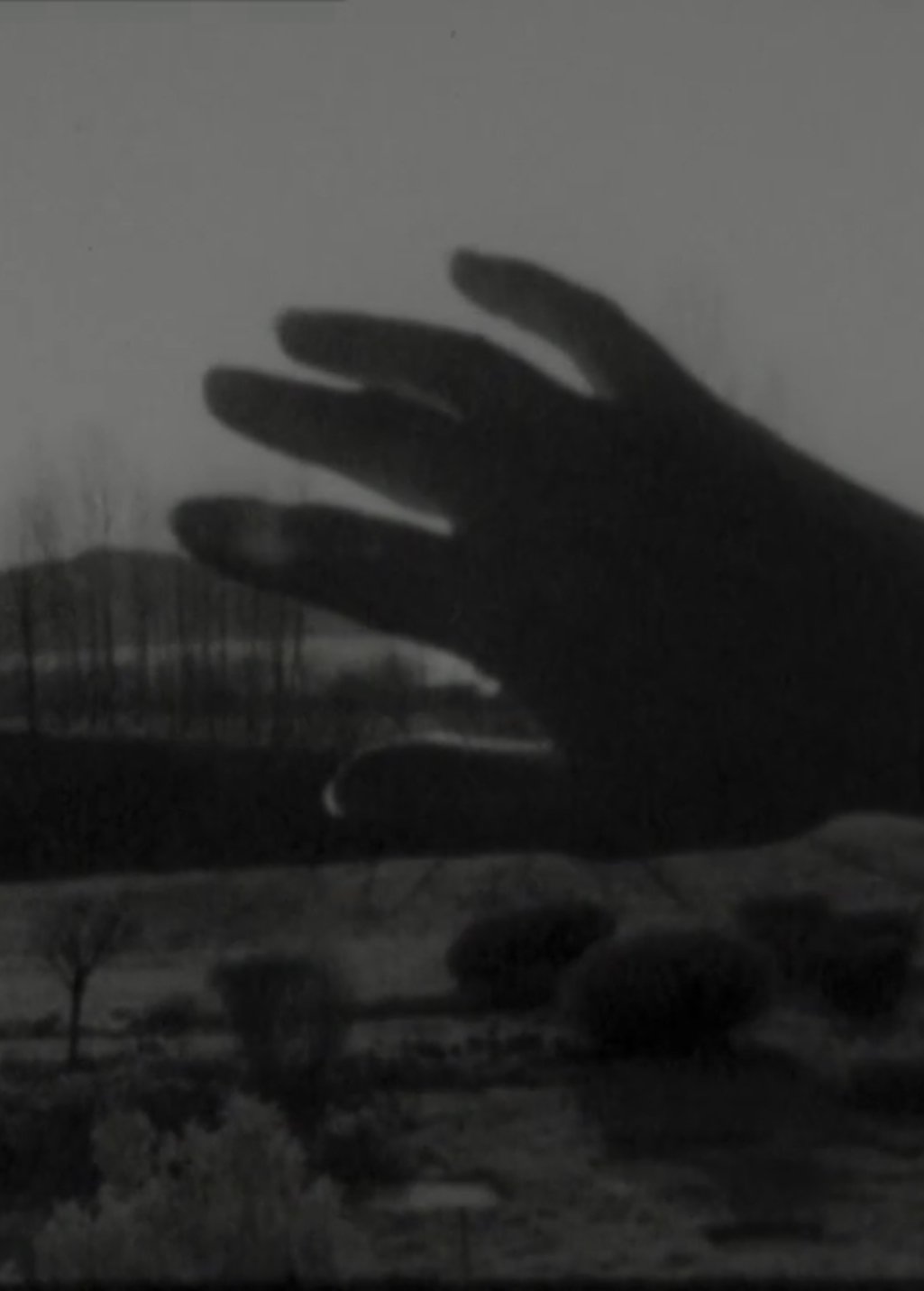 Poster de Sole in mano (o appropriazione, a propria azione, azione propria)