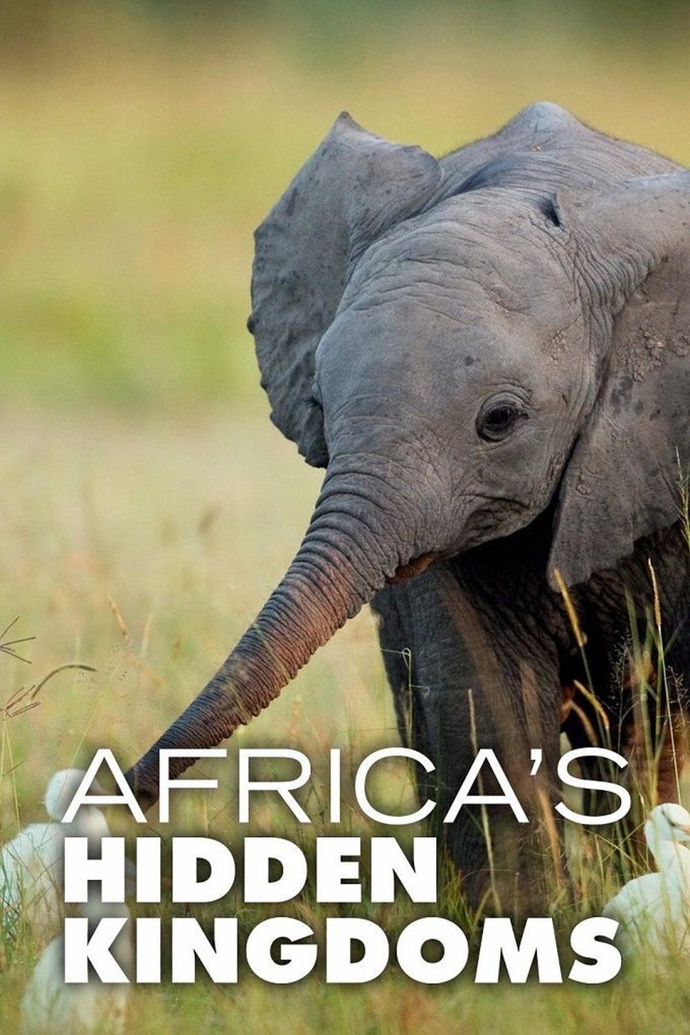 Poster de Reinos Ocultos da África