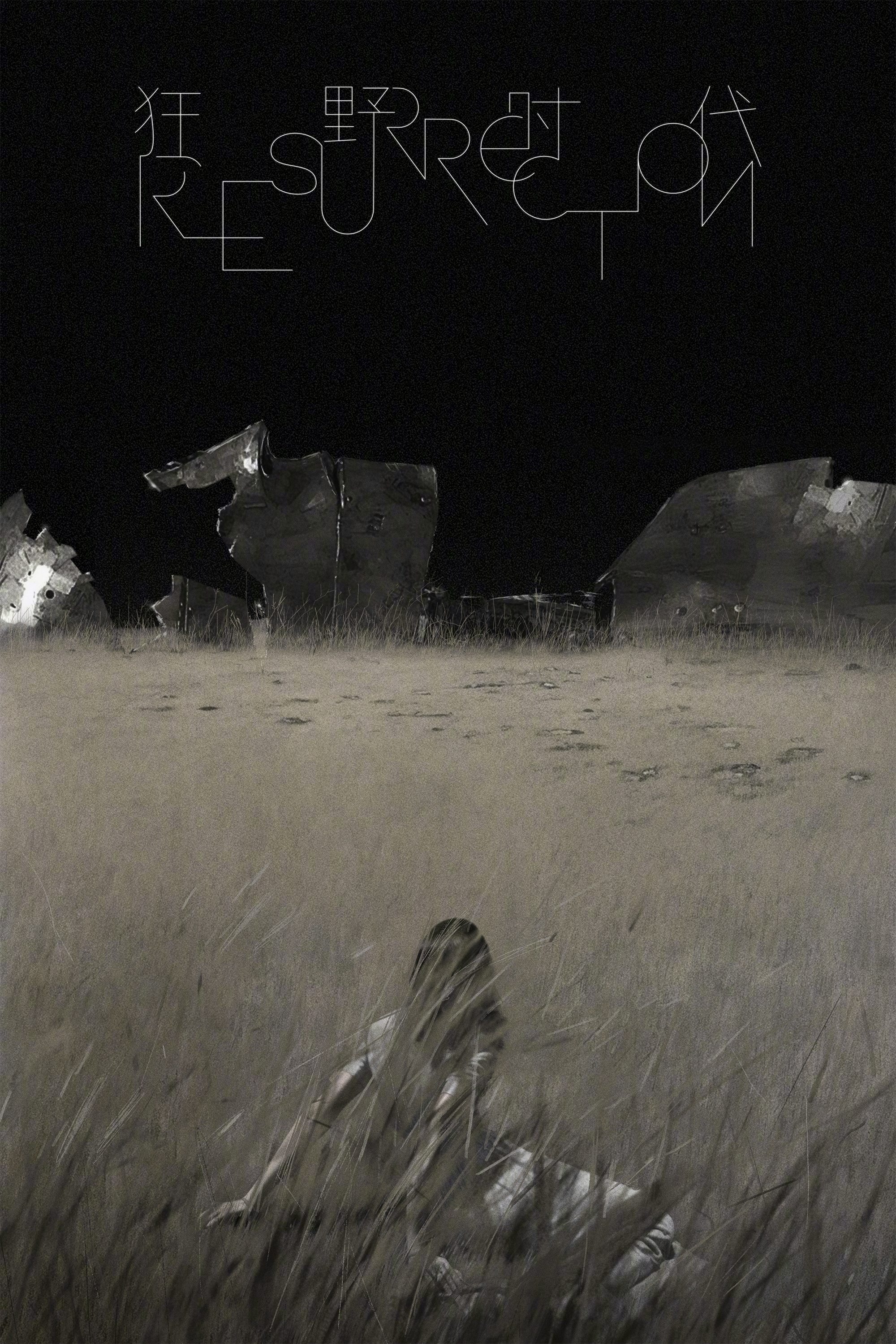 Poster de 狂野时代