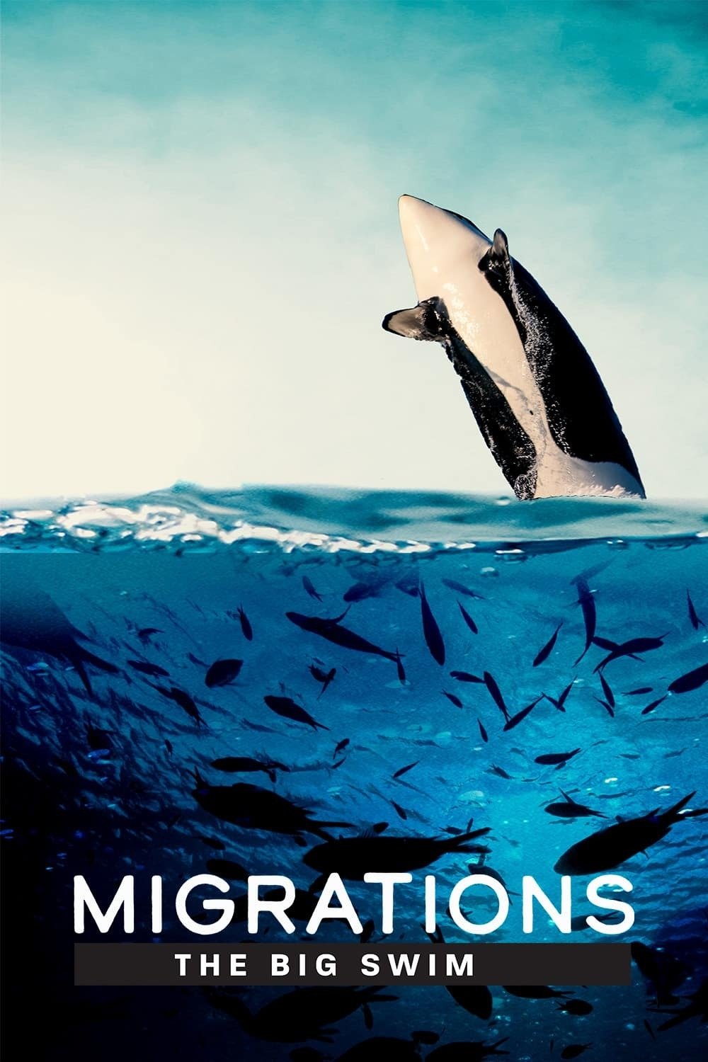 Poster de Migrations: The Big Swim
