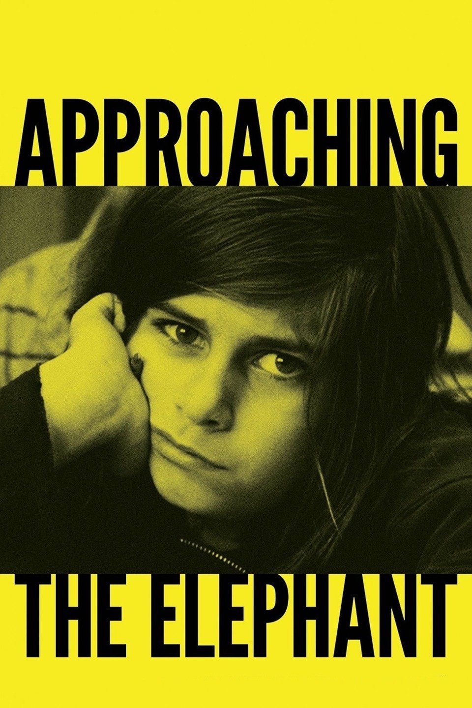 Poster de Approaching the Elephant