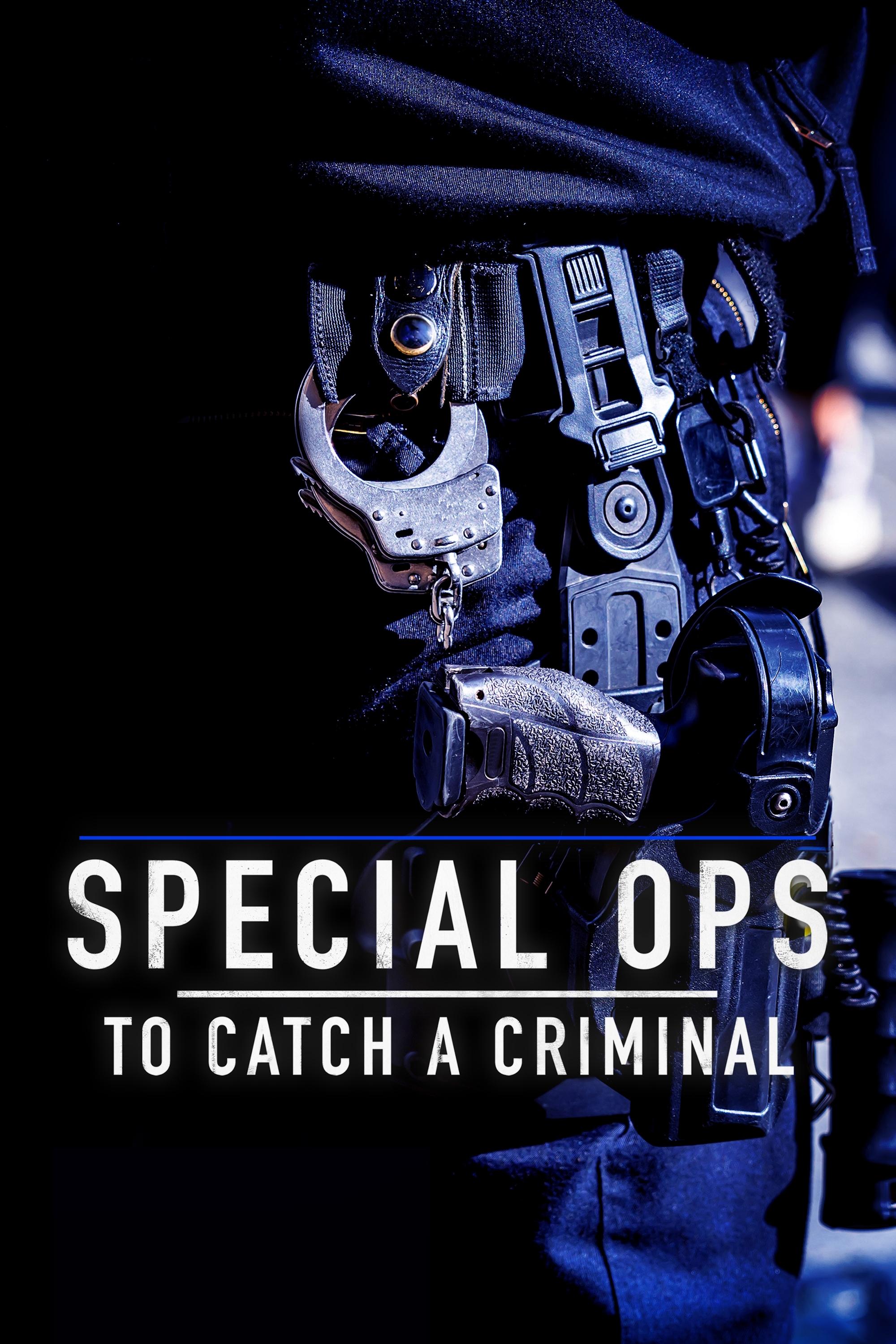 Poster de Special Ops: To Catch A Criminal