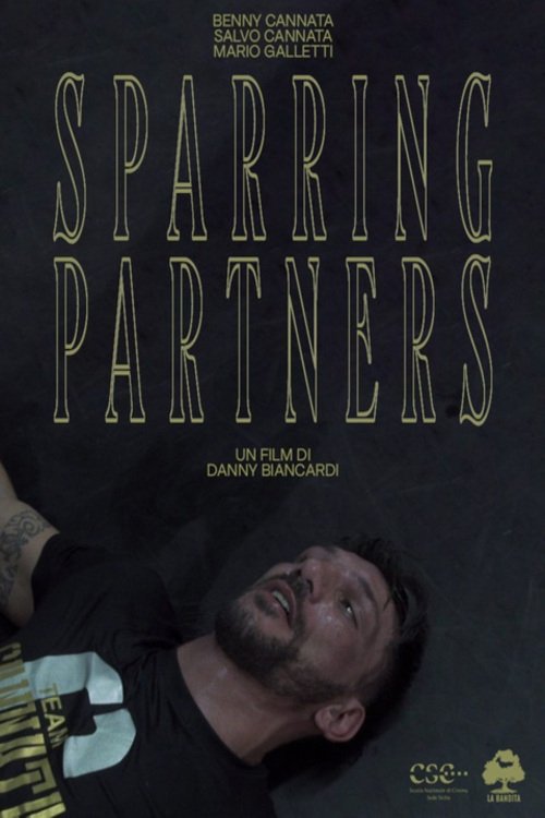 Poster de Sparring Partners