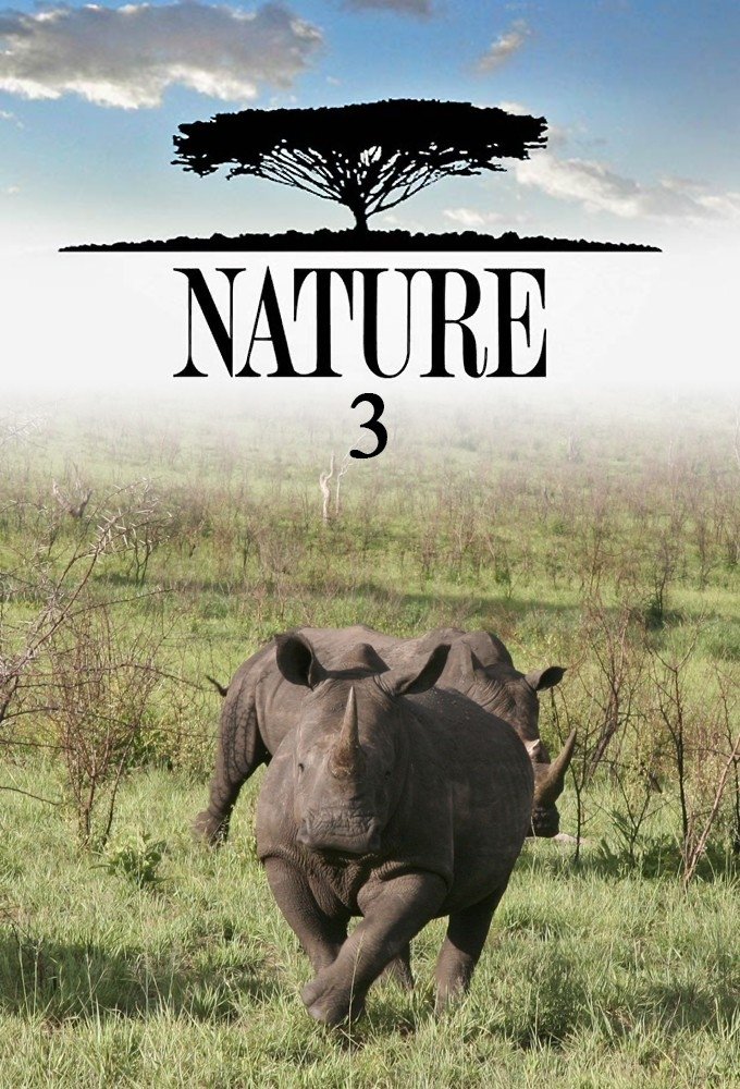 Poster de Temporada 3