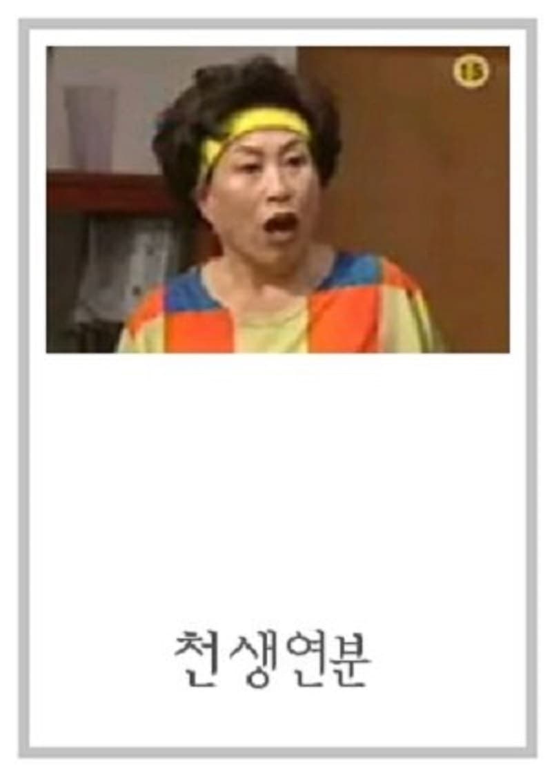 Poster de 천생연분