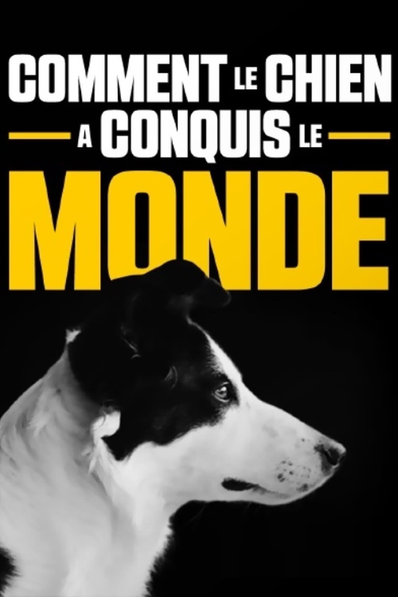 Poster de Comment le chien a conquis le monde
