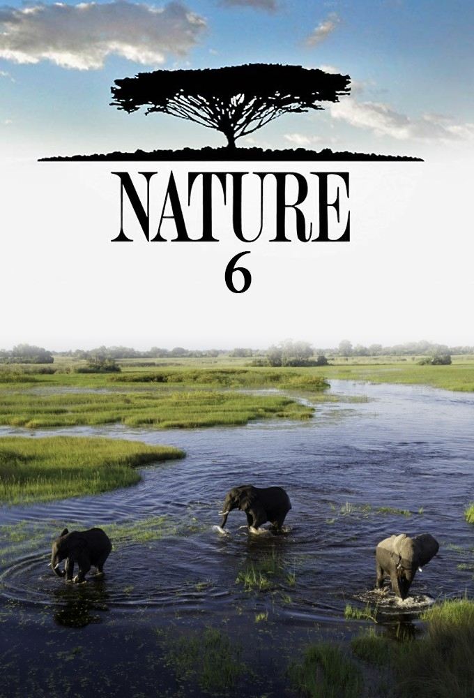 Poster de Temporada 6
