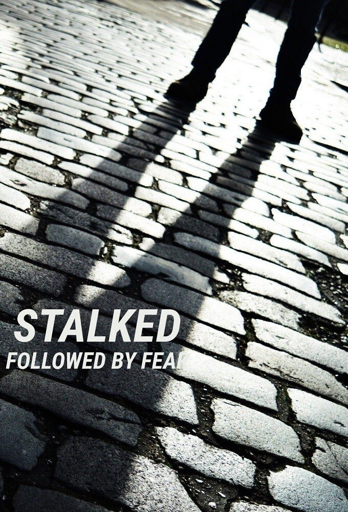 Poster of Stalked: Followed By Fear
