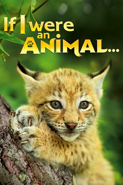Poster de If I were an Animal