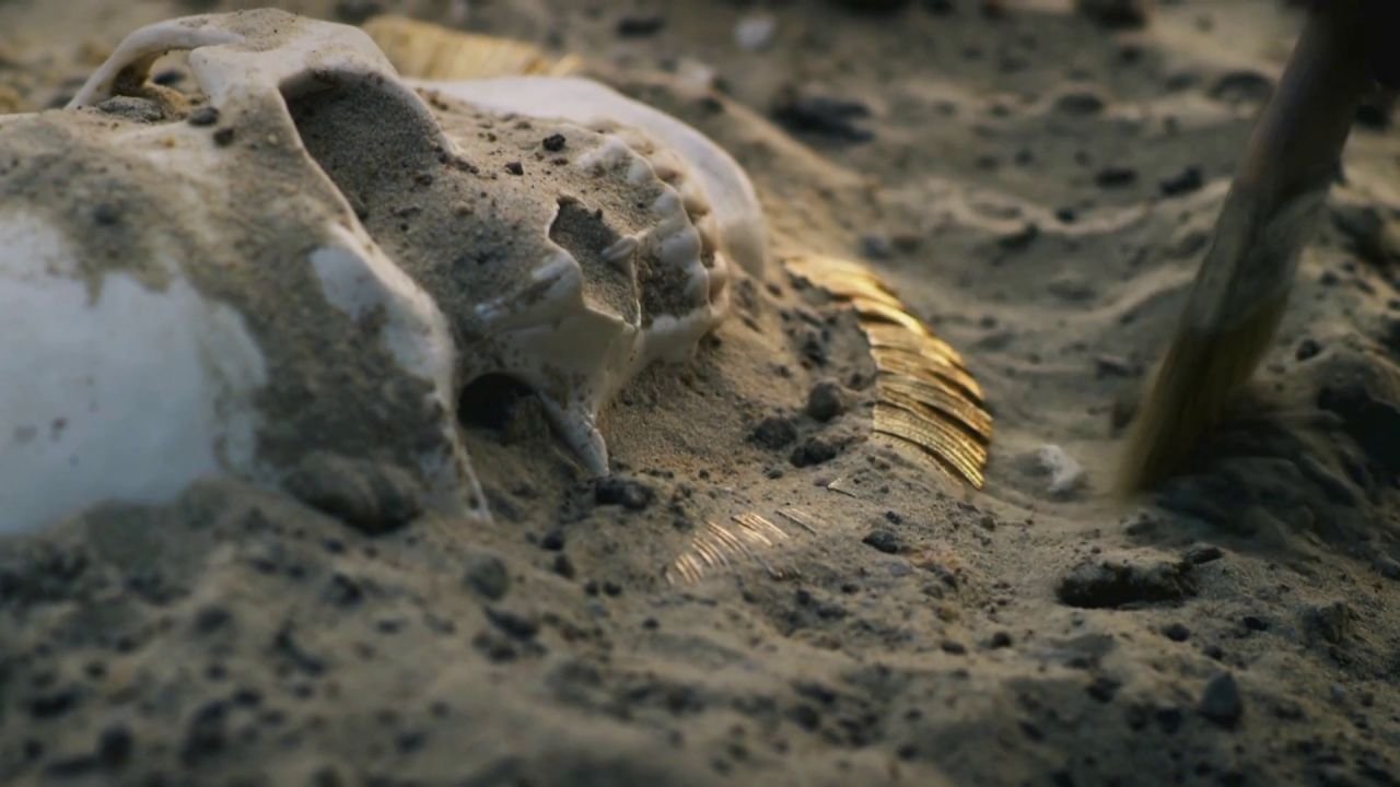 Episode 10