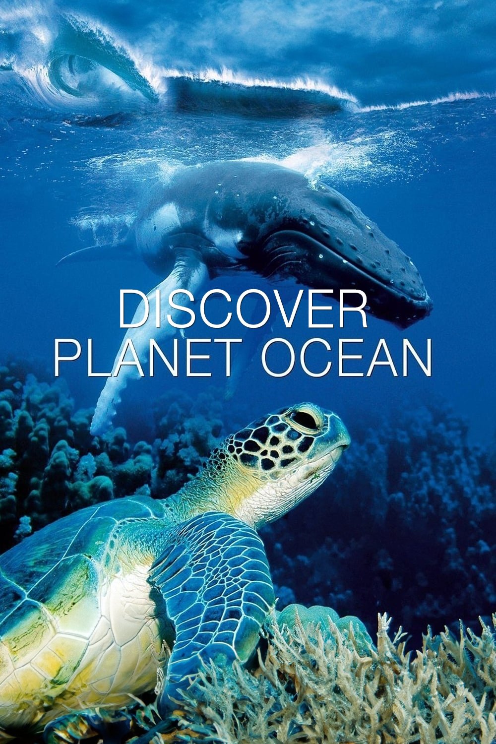 Poster of Discover Planet Ocean