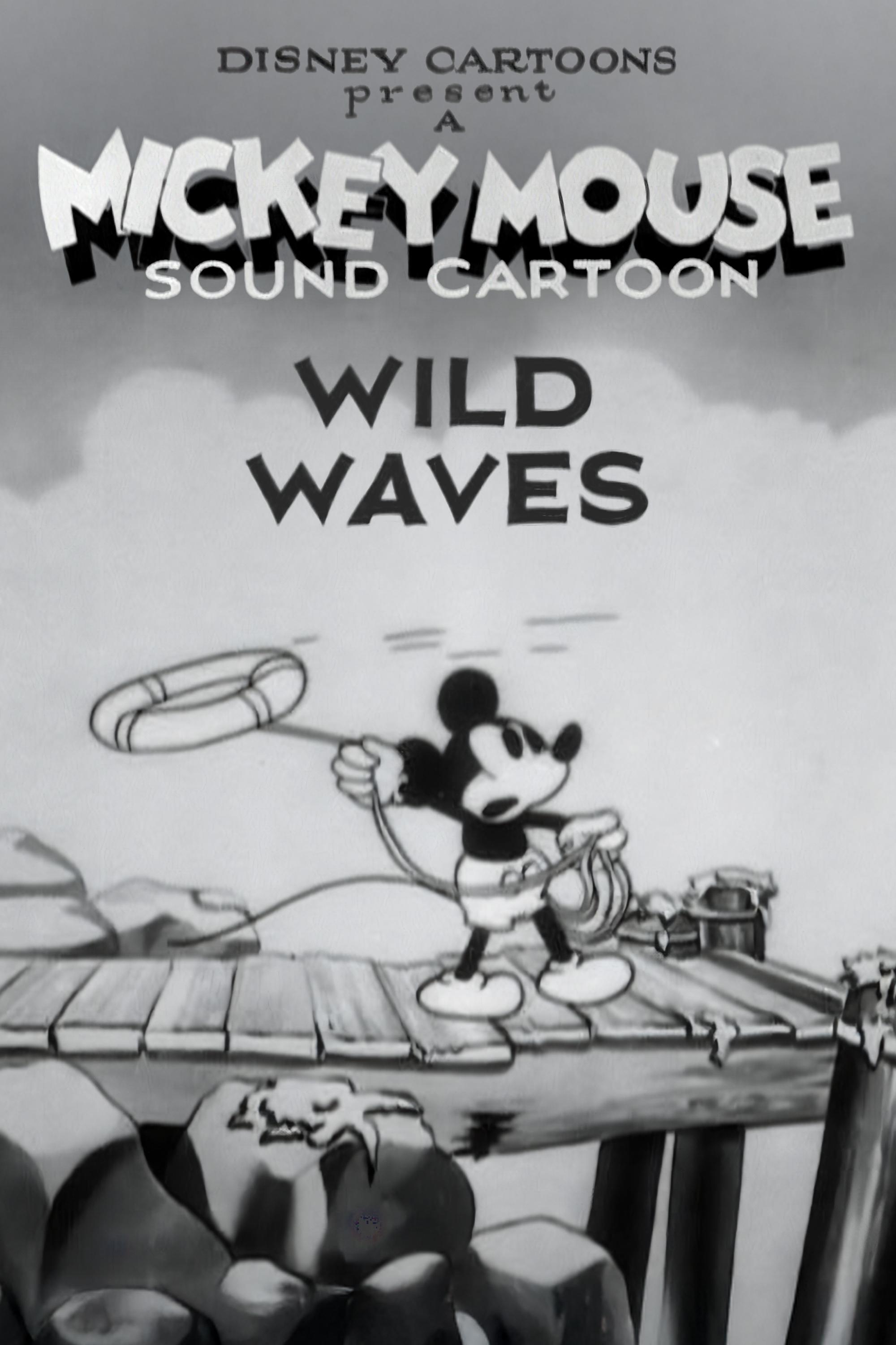 Poster for Wild Waves