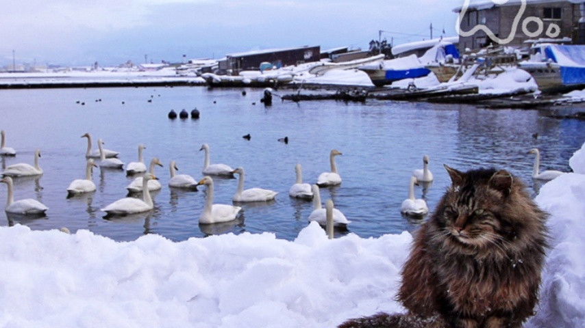 The Four Seasons: Fall & Winter Special