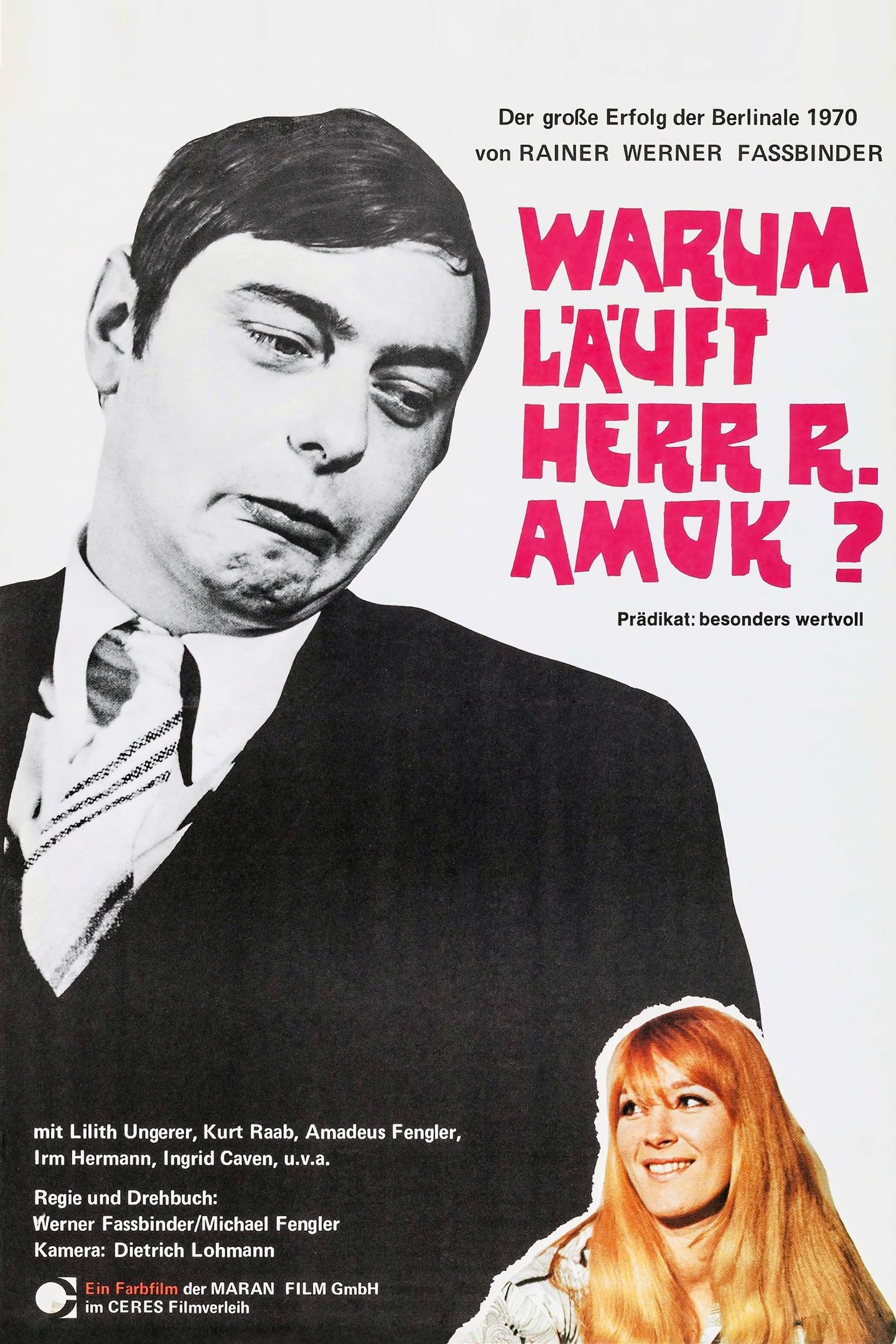 Affiche du film Pourquoi monsieur R. est-il atteint de folie meurtrière ?