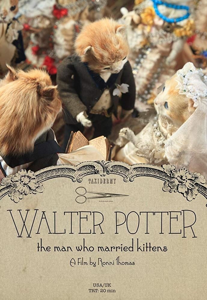 Poster de Walter Potter: The Man Who Married Kittens