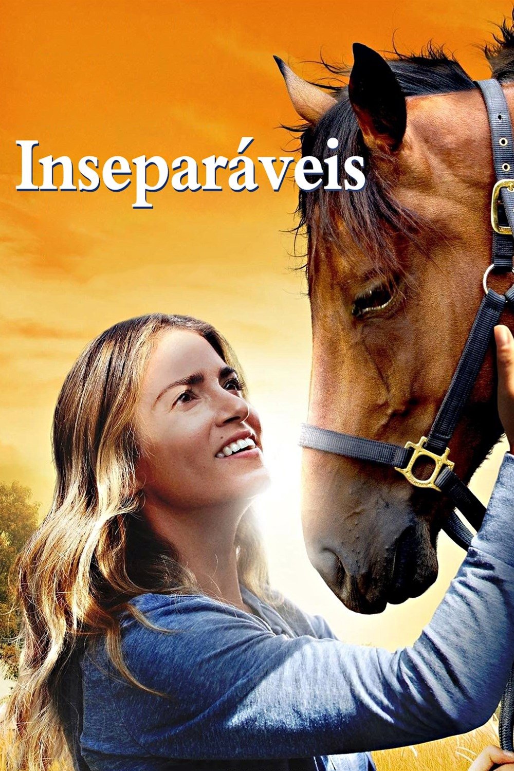 Poster de Inseparáveis