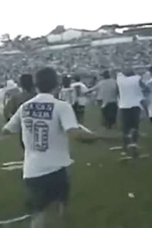 Poster de 1994 - O fim de uma longa espera