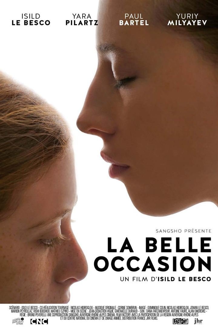 Poster de La belle occasion